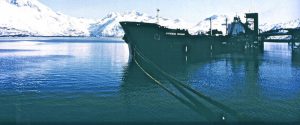 Overseas Chicago in Valdez