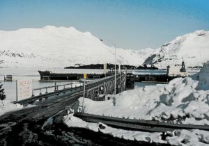 Overseas Chicago in Valdez